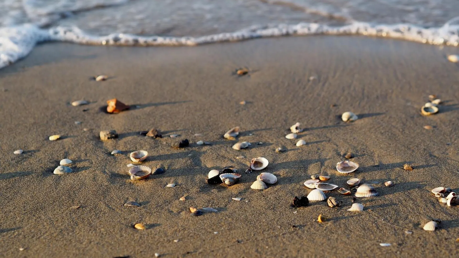 Apartmán Cozy Flat 80 Metres From The Beach - Beahost Bibione Itálie